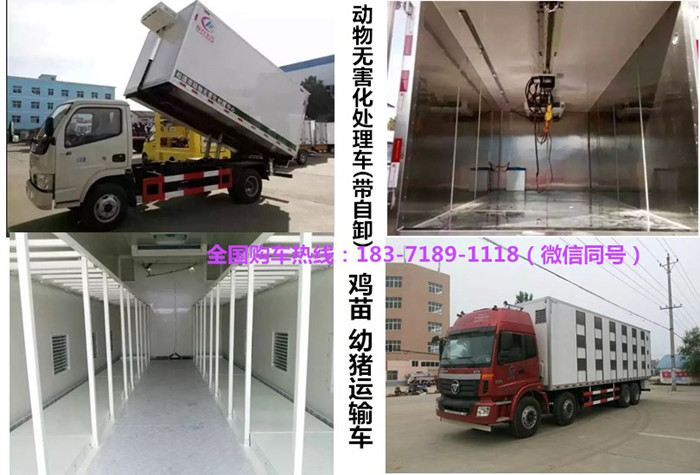 ����С�������س�